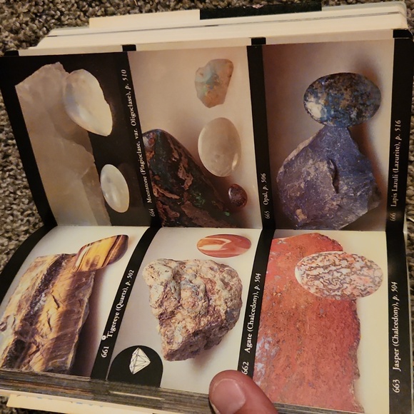 First Edition Audubon Society Field Guide to Rocks and Minerals - Picture 7 of 7